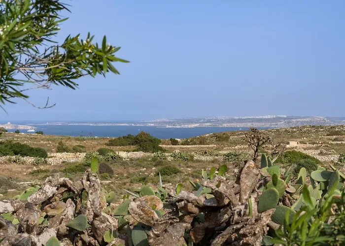 Resort Ta' Cenc & 5*